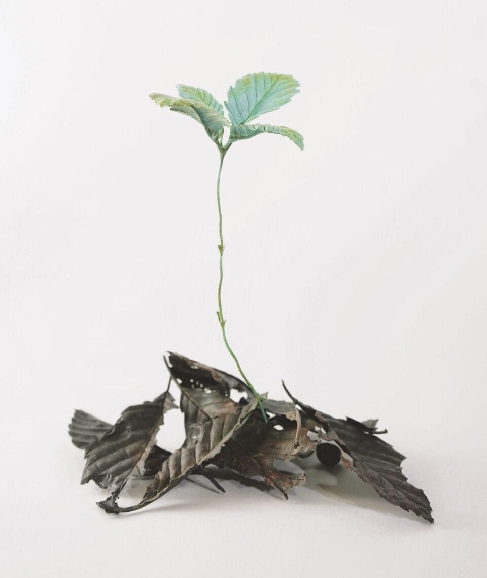 a delicate metal sculpture of a sapling growing out of a small pile of dead leaves