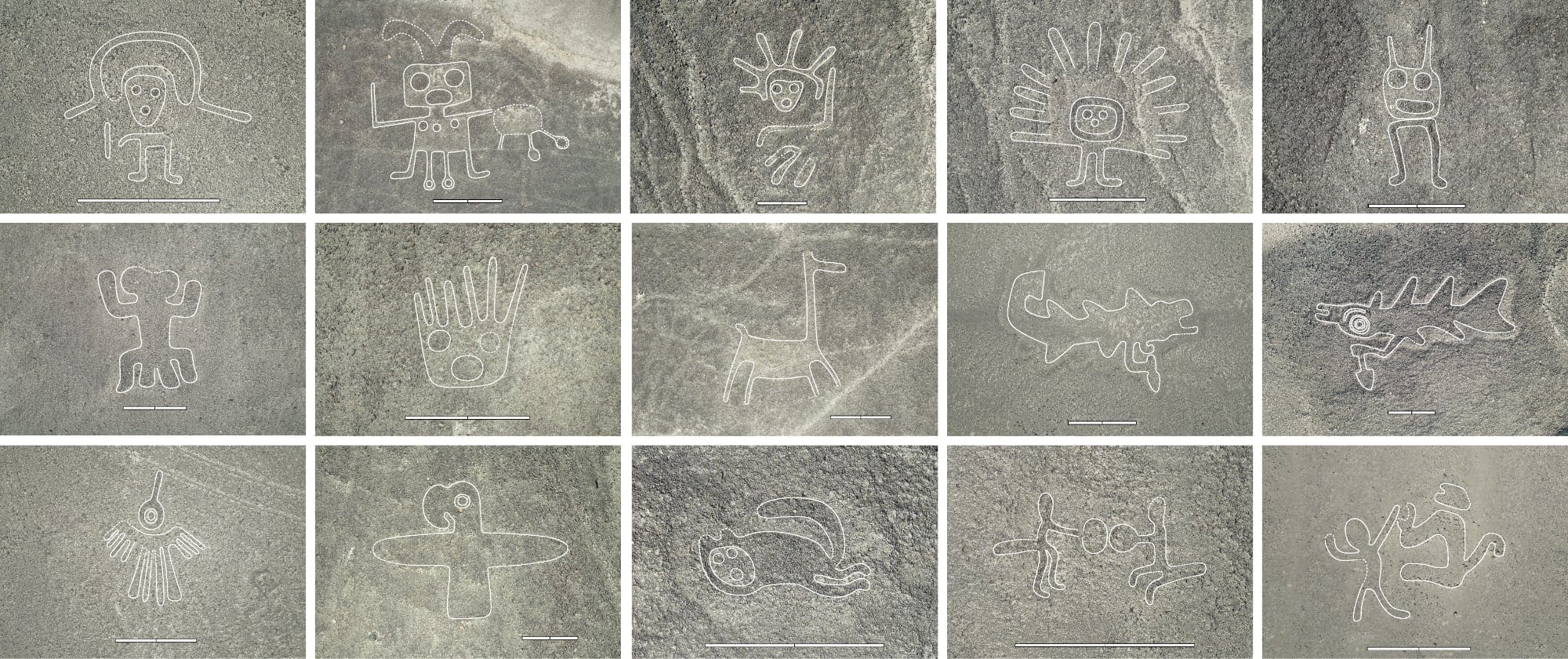 An A.I. Model Helped Uncover 303 Previously Unseen Nazca Lines in Peru